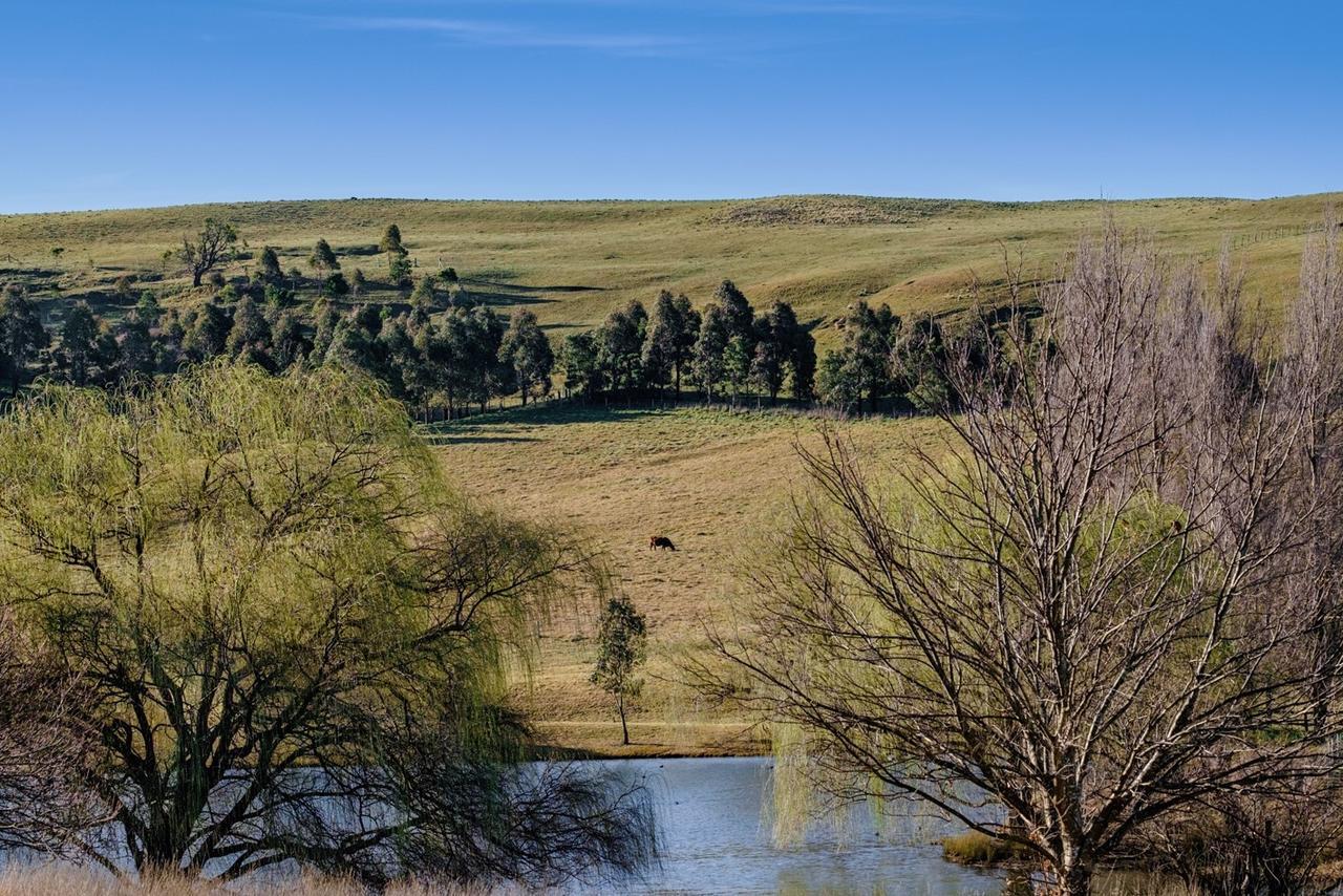 Bendooley Estate Otel Berrima Dış mekan fotoğraf